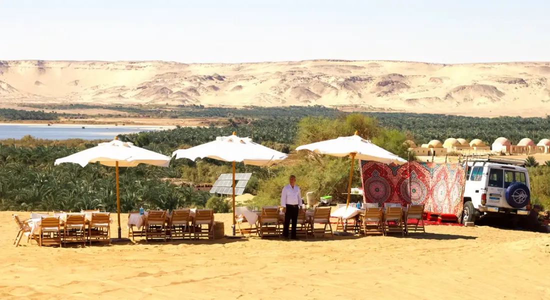 img better destination management starts with local expertise